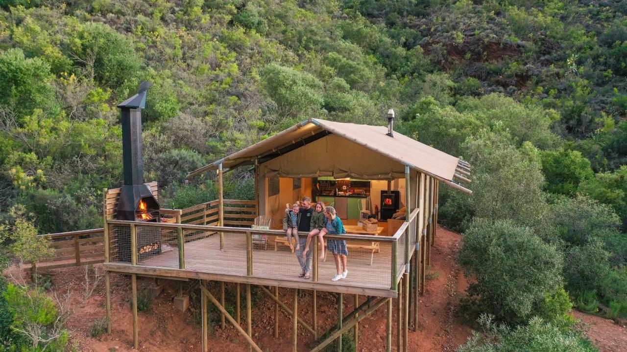 הוילה רוברטסון Africamps At Pat Busch מראה חיצוני תמונה